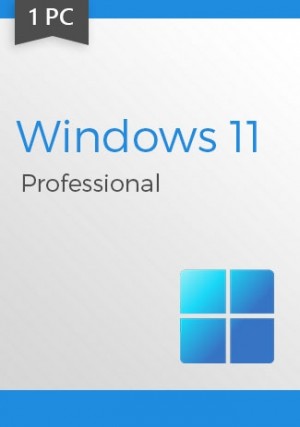 Windows 11 Professional Key