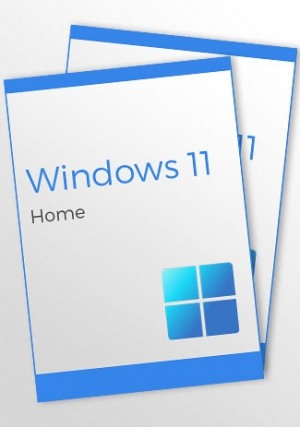 Windows 11 Home (2 keys)