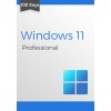 Microsoft Windows 11 Professional (100 keys)