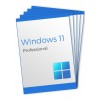 Windows 11 Professional (5 Keys)