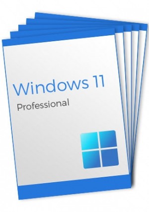 Windows 11 Professional - 5 Keys