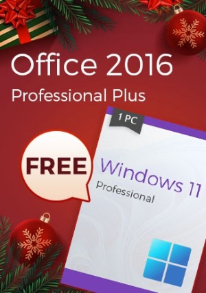 Microsoft Office 2016 Professional Plus (+ Windows 11 Professional for free) 