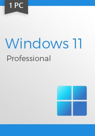 Windows 11 Pro (1 PC)