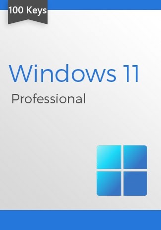 Microsoft Windows 11 Professional (100 keys)