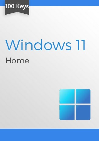 Windows 11 Home (100 keys)