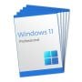 Windows 11 Professional (5 Keys)